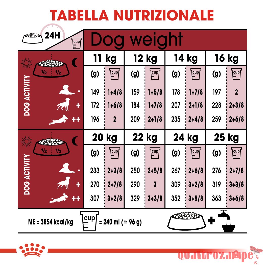 Royal Canin Medium Adult 7 + Cibo Secco Cani