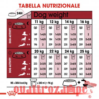 Royal Canin Medium Adult 7 + Cibo Secco Cani