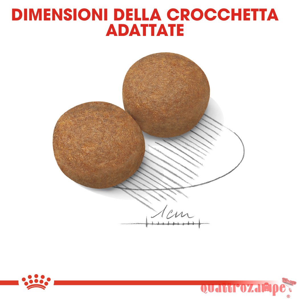 Royal Canin Maxi Adult Crocchette Per Cani