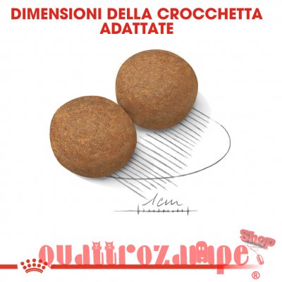 Royal Canin Maxi Adult Crocchette Per Cani