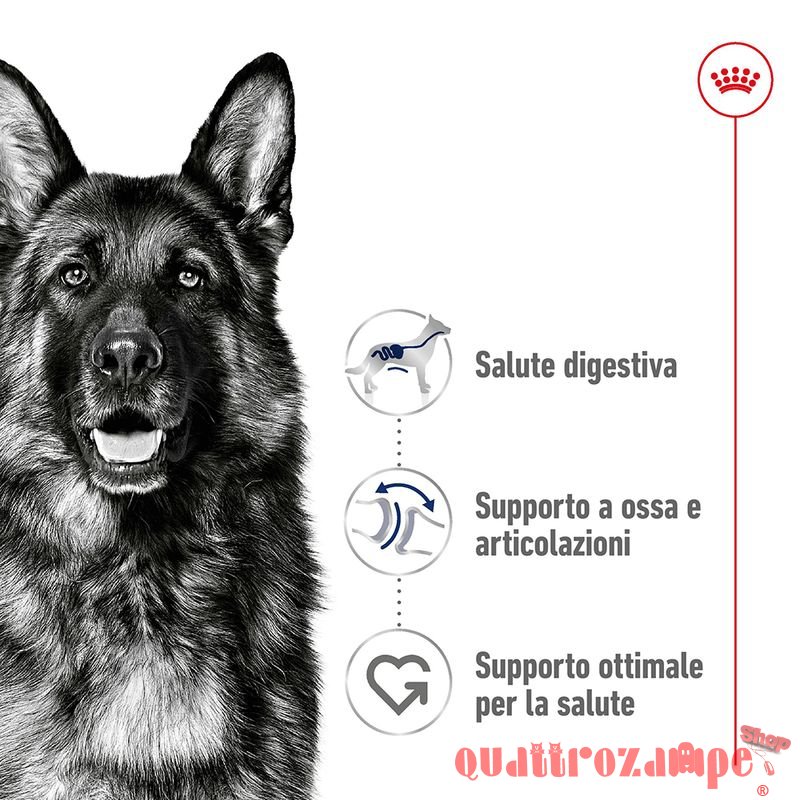 Royal Canin Maxi Adult Crocchette Per Cani