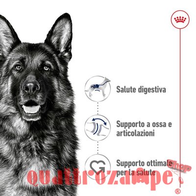 Royal Canin Maxi Adult Crocchette Per Cani