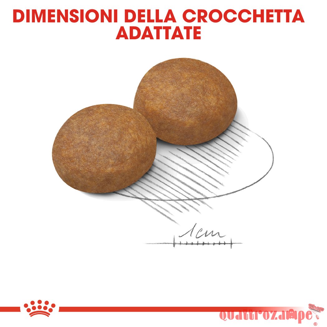 Royal Canin Maxi Adult 5 + Croccantini Per Cani