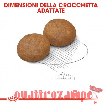 Royal Canin Maxi Adult 5 + Croccantini Per Cani