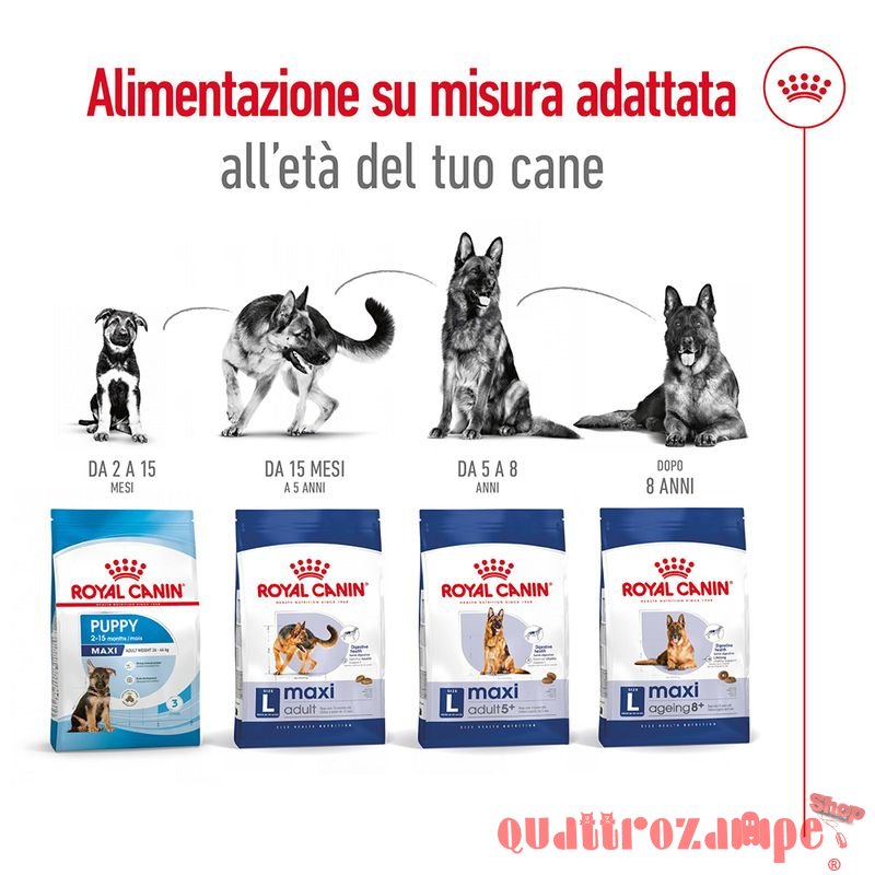 Royal Canin Maxi Adult 5 + Croccantini Per Cani