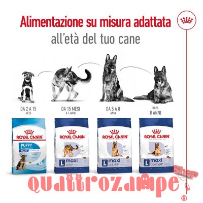 Royal Canin Maxi Adult 5 + Croccantini Per Cani