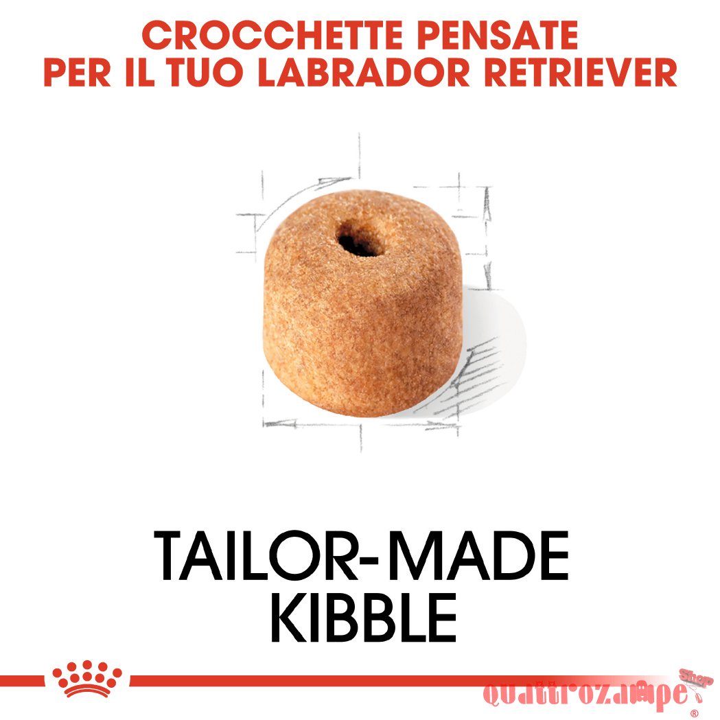 Royal Canin Labrador Retriever Adult Cibo Per Cani Di Razza