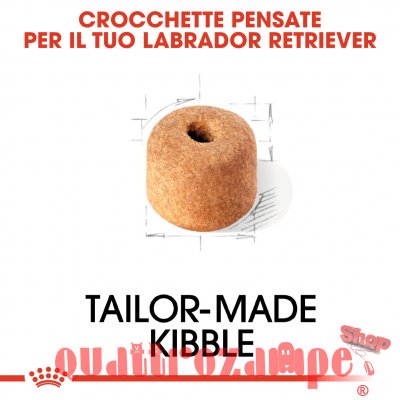 Royal Canin Labrador Retriever Adult Cibo Per Cani Di Razza