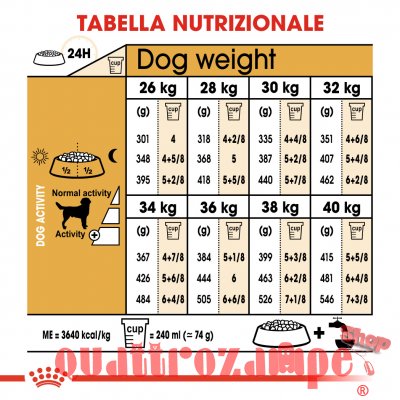 Royal Canin Labrador Retriever Adult Cibo Per Cani Di Razza
