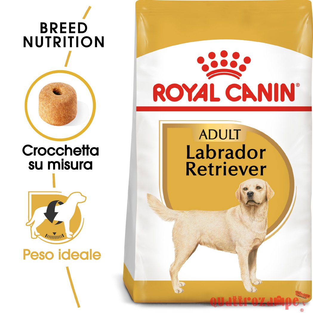 Royal Canin Labrador Retriever Adult Cibo Per Cani Di Razza