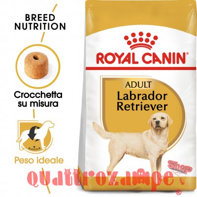 Royal Canin Labrador Retriever Adult Cibo Per Cani Di Razza