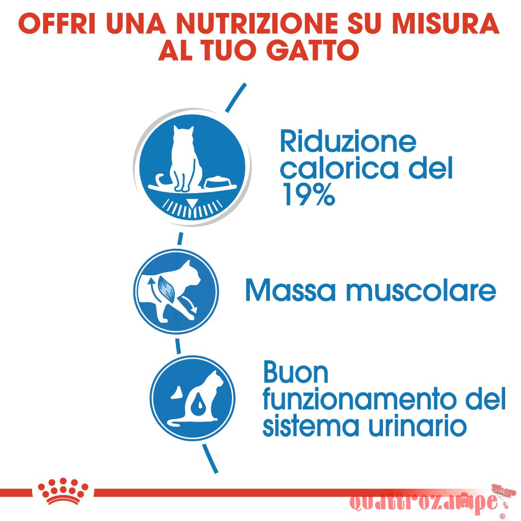 Royal Canin Ultra Light Gravy 85 gr In Salsa Per Gatti