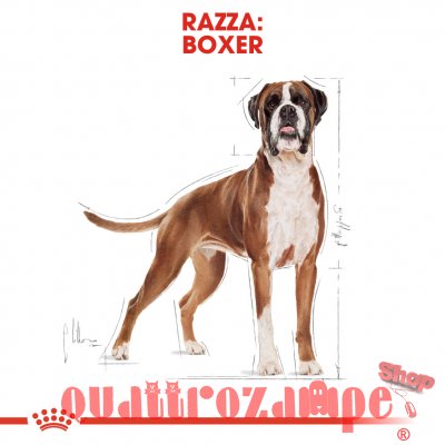 Royal Canin Boxer Adult
