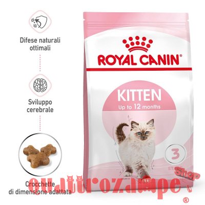 Royal Canin Kitten Gatto Cibo Per Gatti Cuccioli