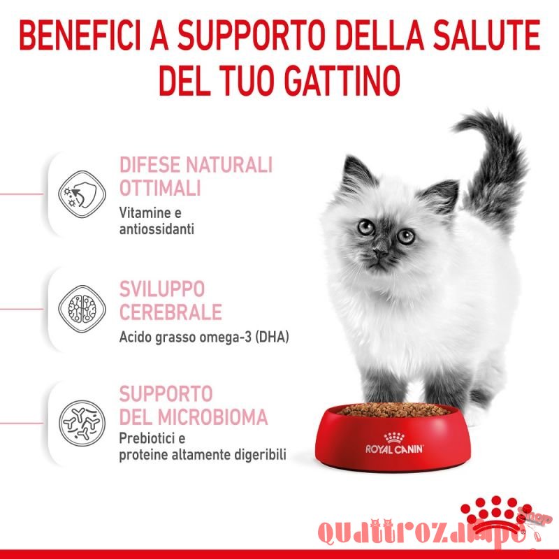 Royal Canin Kitten Gatto Cibo Per Gatti Cuccioli
