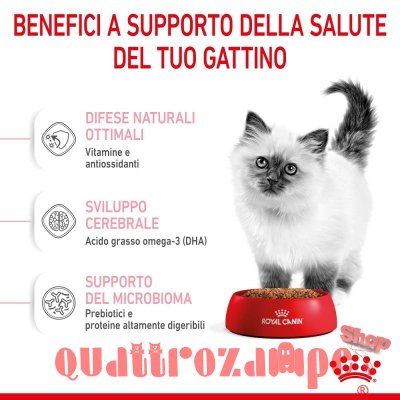 Royal Canin Kitten Gatto Cibo Per Gatti Cuccioli