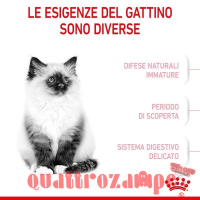 Royal Canin Kitten Gatto Cibo Per Gatti Cuccioli