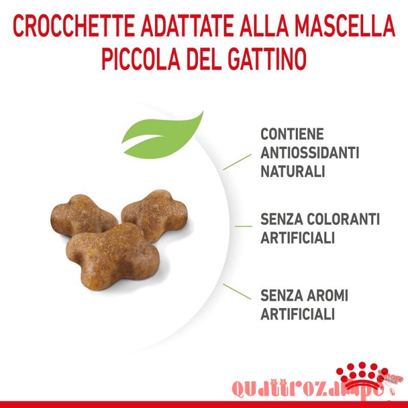 Royal Canin Kitten Gatto Cibo Per Gatti Cuccioli