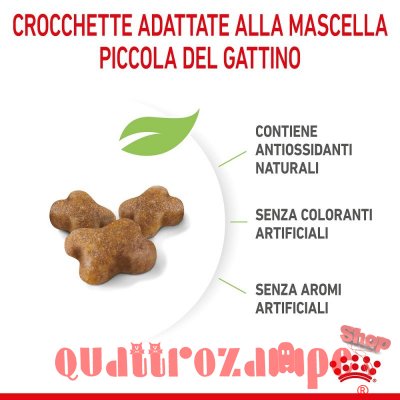 Royal Canin Kitten Gatto Cibo Per Gatti Cuccioli