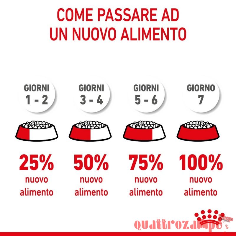 Royal Canin Kitten Gatto Cibo Per Gatti Cuccioli