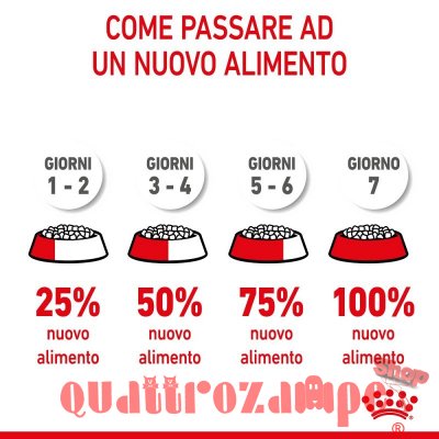 Royal Canin Kitten Gatto Cibo Per Gatti Cuccioli