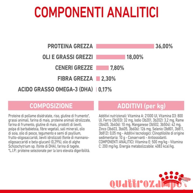 Royal Canin Kitten Gatto Cibo Per Gatti Cuccioli