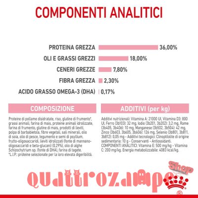 Royal Canin Kitten Gatto Cibo Per Gatti Cuccioli