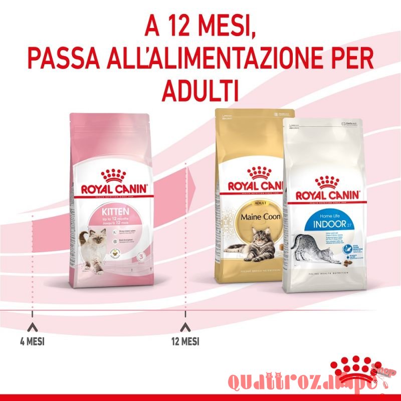 Royal Canin Kitten Gatto Cibo Per Gatti Cuccioli