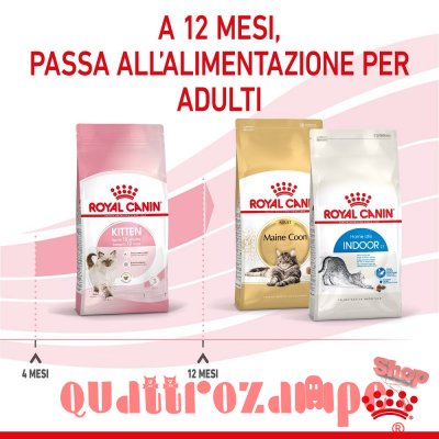Royal Canin Kitten Gatto Cibo Per Gatti Cuccioli
