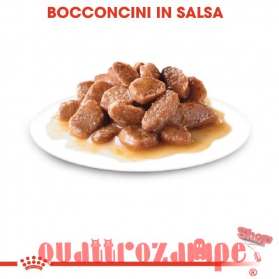 Royal Canin Sterilised Cibo Umido Per Gatti