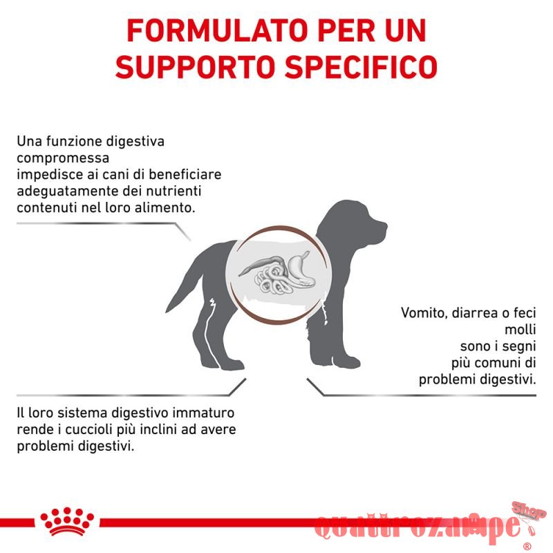 Royal Canin Gastro Intestinal Puppy Junior Cane
