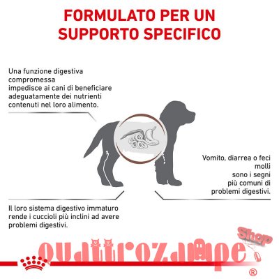 Royal Canin Gastro Intestinal Puppy Junior Cane