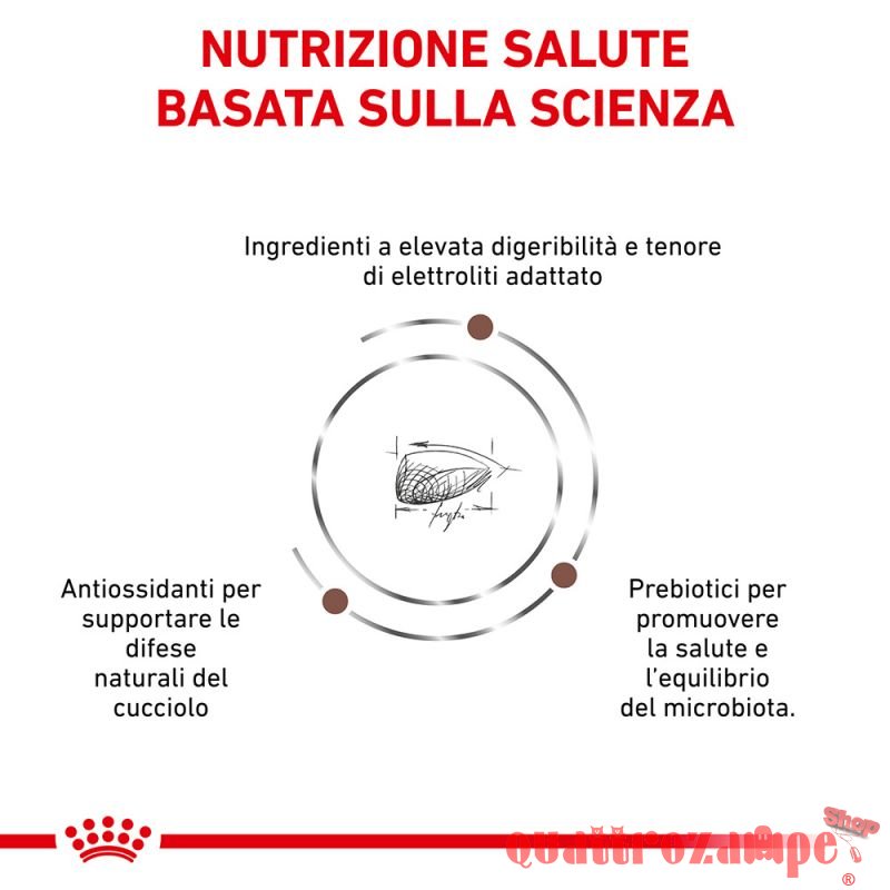 Royal Canin Gastro Intestinal Puppy Junior Cane