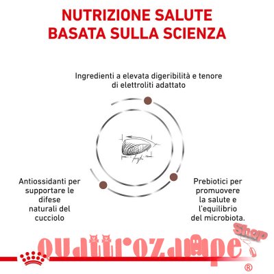 Royal Canin Gastro Intestinal Puppy Junior Cane