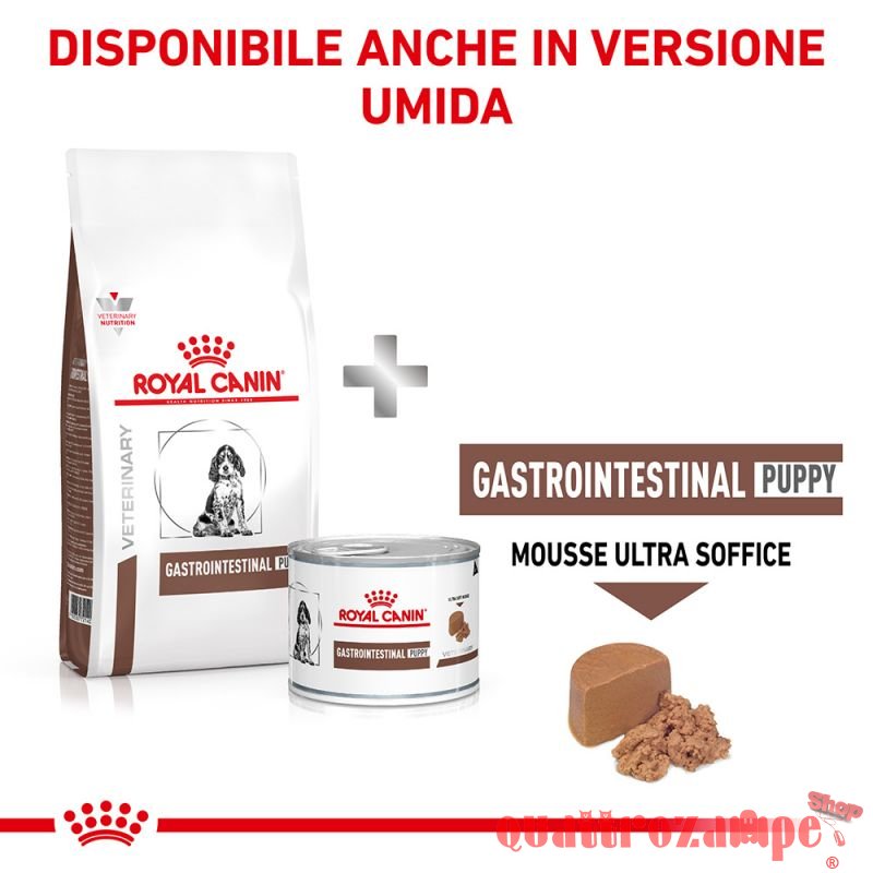Royal Canin Gastro Intestinal Puppy Junior Cane