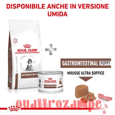 Royal Canin Gastro Intestinal Puppy Junior Cane