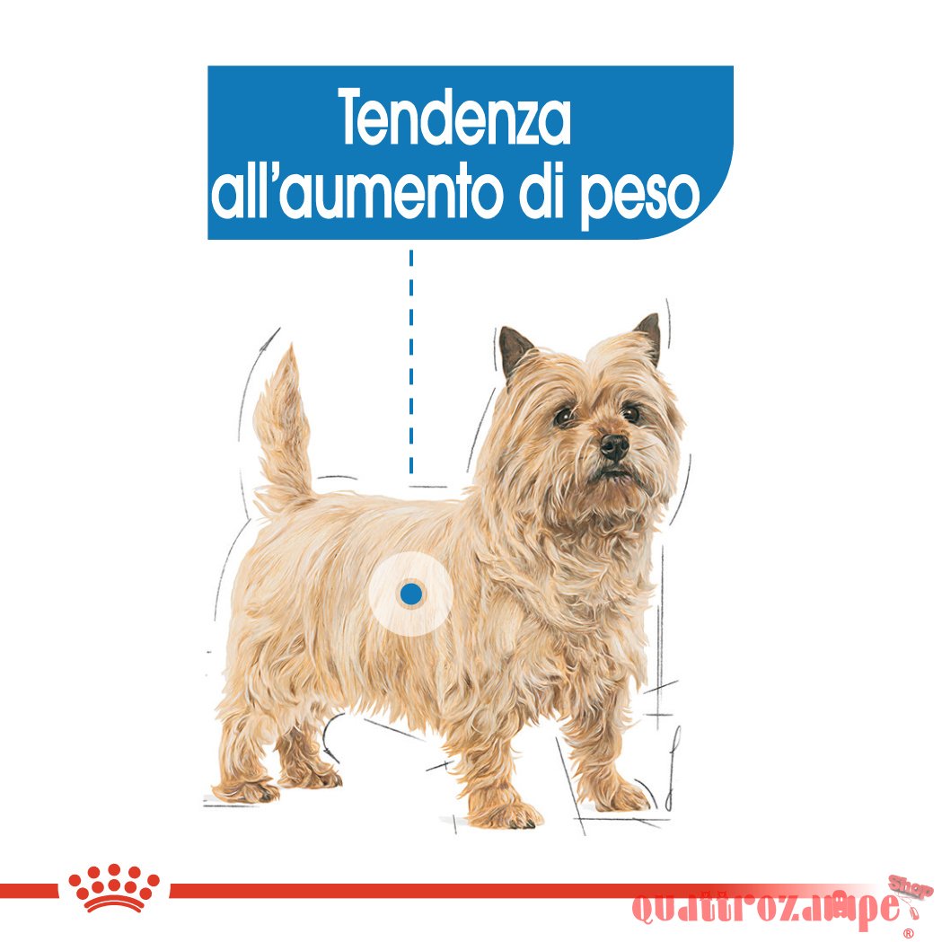 Royal Canin Mini Light Weight Care