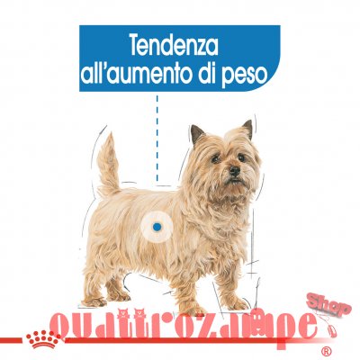 Royal Canin Mini Light Weight Care