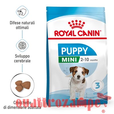 Royal Canin Mini Puppy Junior