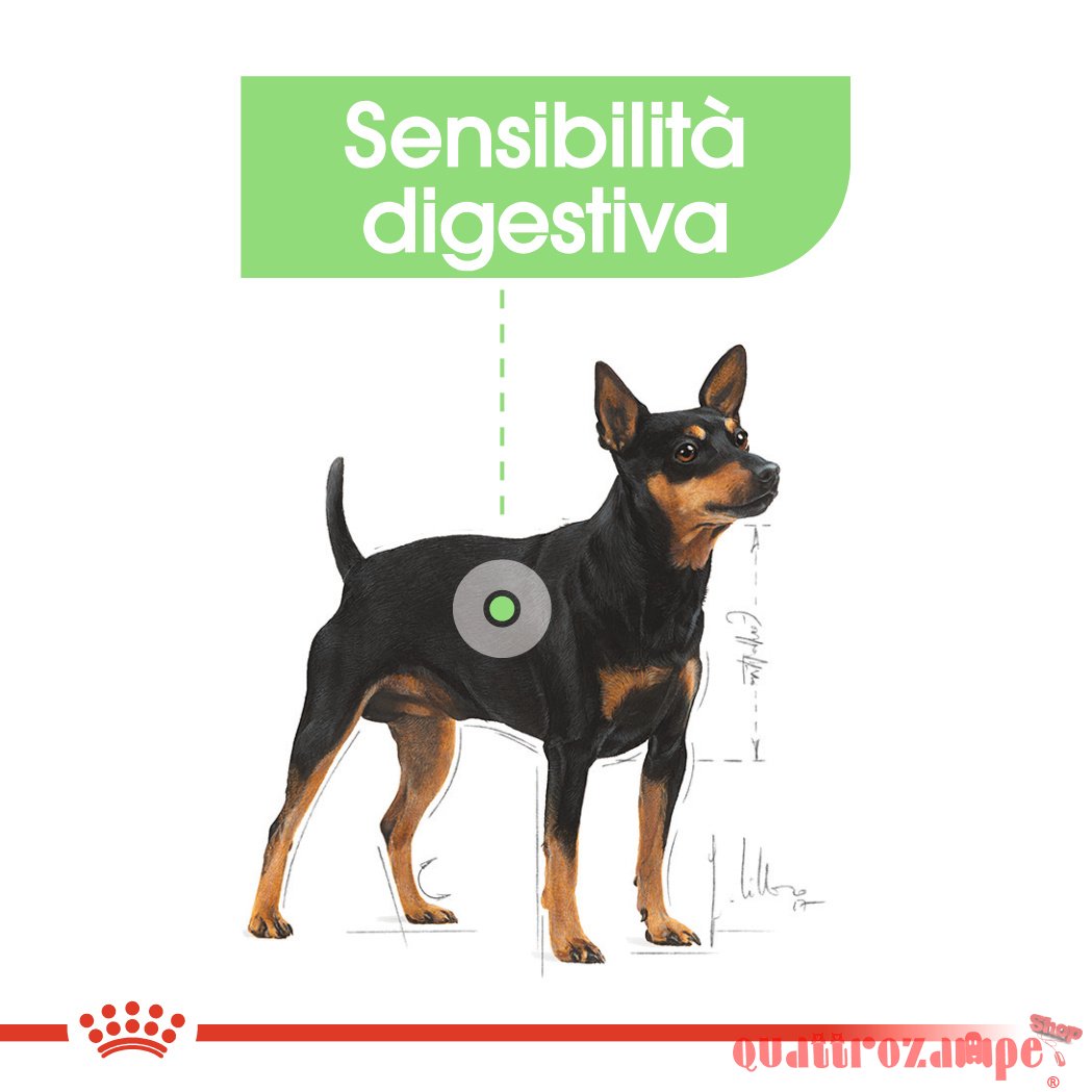 Royal Canin Mini Digestive Care