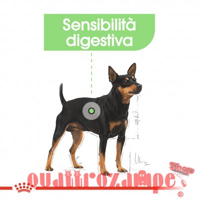 Royal Canin Mini Digestive Care