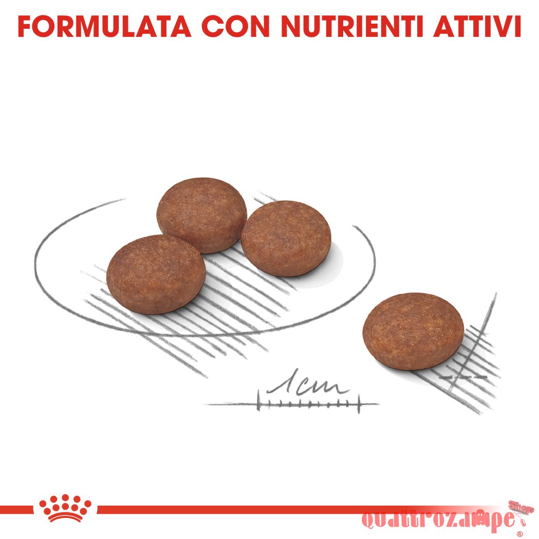 Royal Canin Mini Digestive Care