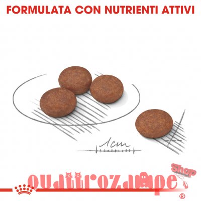 Royal Canin Mini Digestive Care