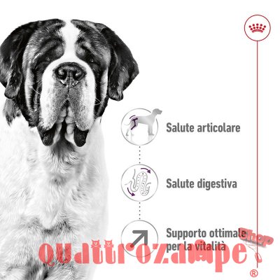 Royal Canin Giant Adult