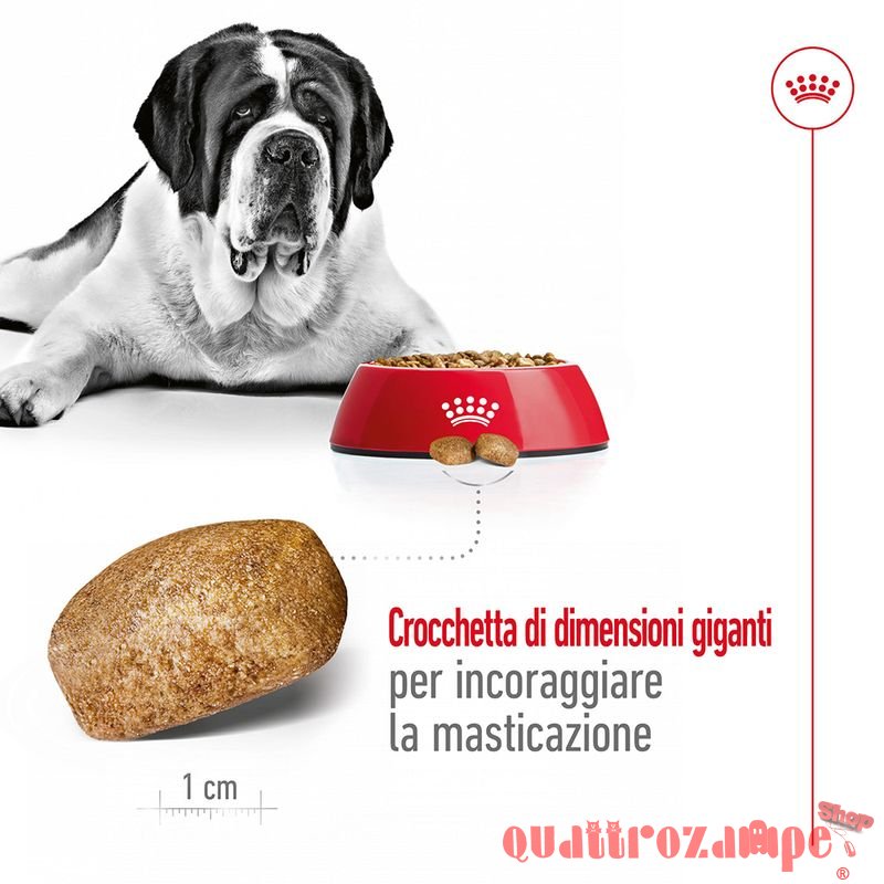 Royal Canin Giant Adult