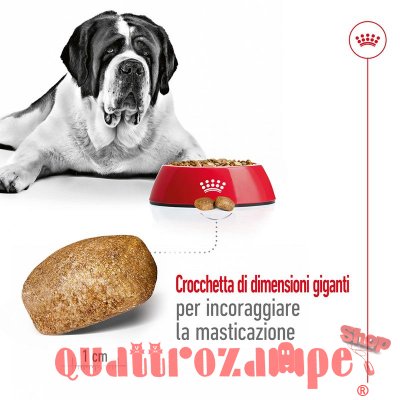 Royal Canin Giant Adult