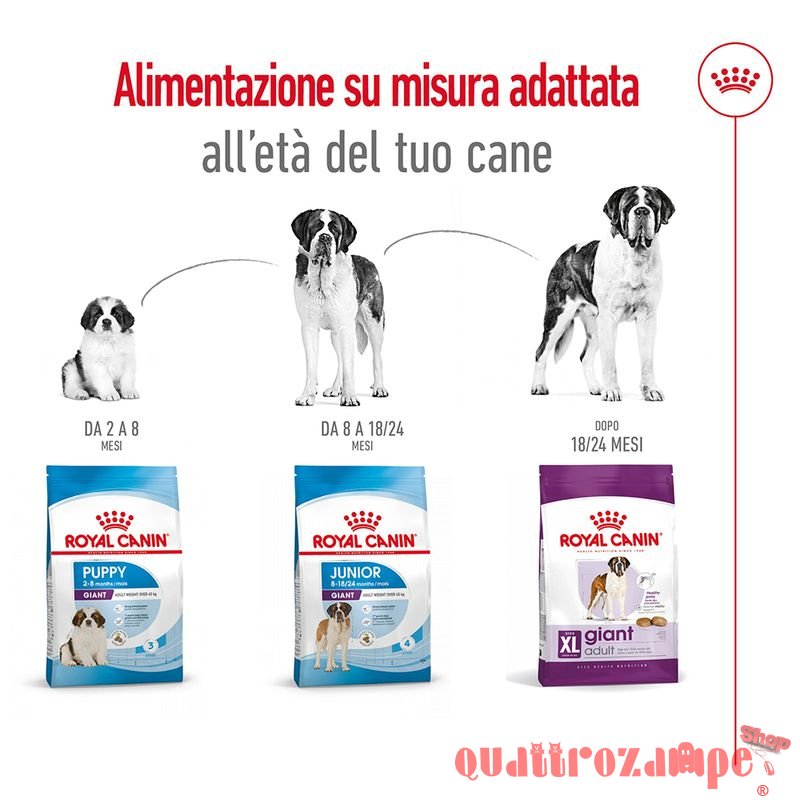 Royal Canin Giant Adult