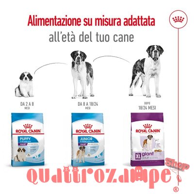 Royal Canin Giant Adult