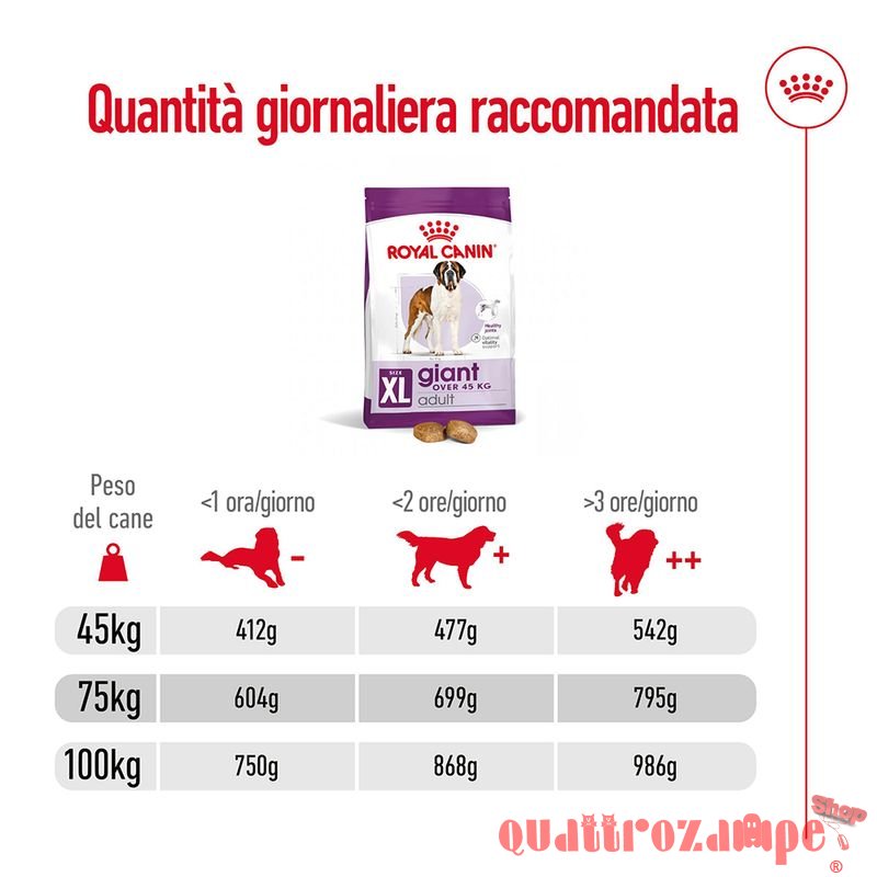 Royal Canin Giant Adult