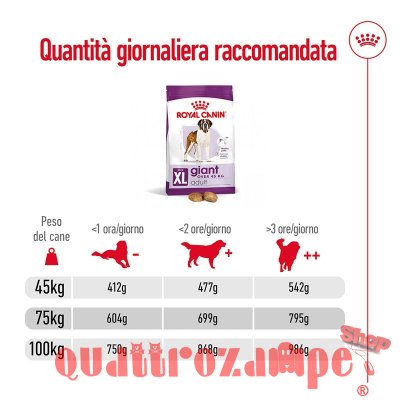 Royal Canin Giant Adult